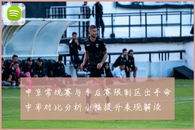 申京常规赛与季后赛限制区出手命中率对比分析小幅提升表现解读