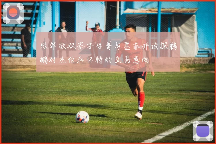 绿军欲双签字母哥与墨菲并试探鹈鹕对杰伦和怀特的交易意向